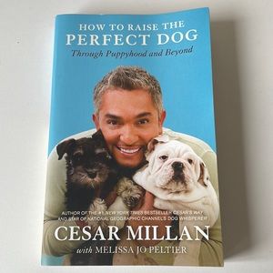 How to Raise the Perfect Dog